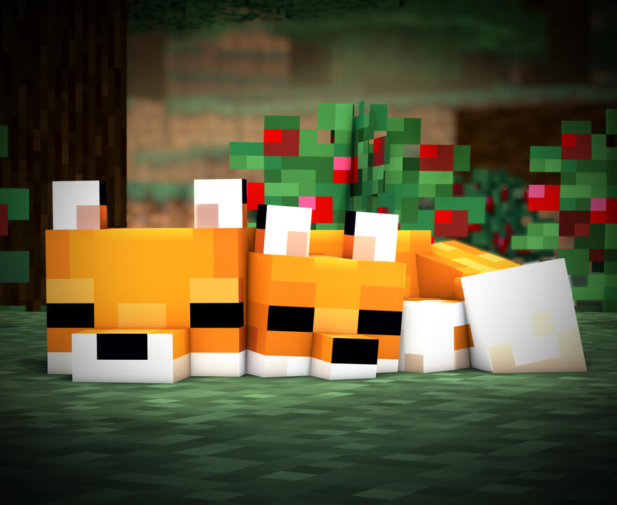 foxfamilysleeping foxfamilysleeping
